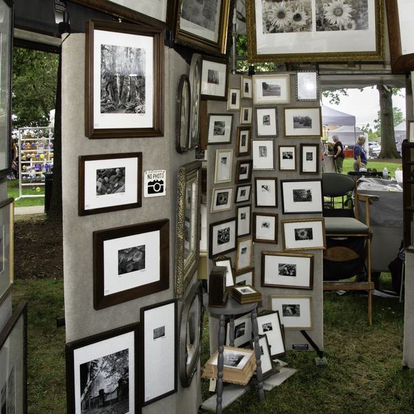 Results Are In! Art in the Park 2025