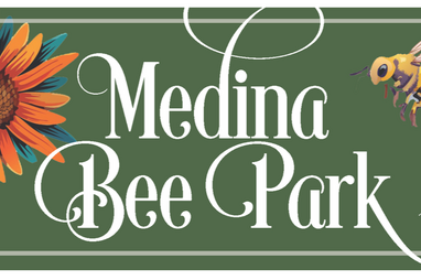 Medina Bee Park — Art Mural competition.