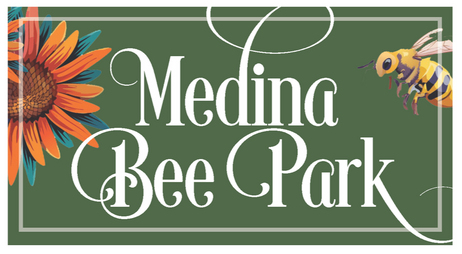 Medina Bee Park — Art Mural competition.